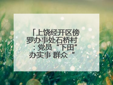 上饶经开区傍罗办事处石桥村：党员“下田”办实事 群众“点赞”笑开颜