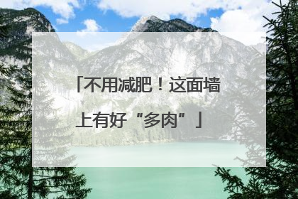 不用减肥！这面墙上有好“多肉”