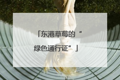 东港草莓的“绿色通行证”