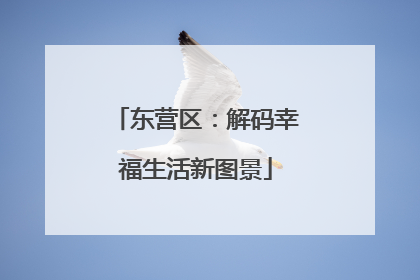 东营区：解码幸福生活新图景