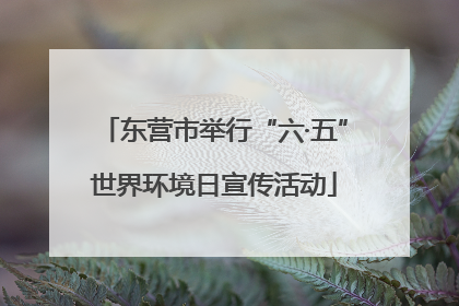 东营市举行“六·五”世界环境日宣传活动
