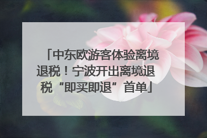 中东欧游客体验离境退税！宁波开出离境退税“即买即退”首单