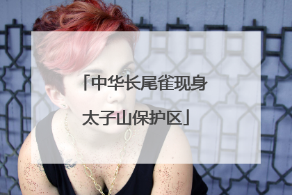 中华长尾雀现身太子山保护区