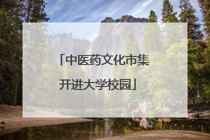 中医药文化市集开进大学校园