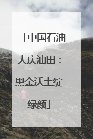 中国石油大庆油田：黑金沃土绽绿颜
