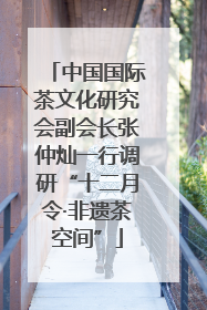 中国国际茶文化研究会副会长张仲灿一行调研“十二月令·非遗茶空间”