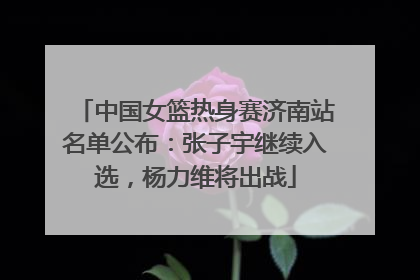 中国女篮热身赛济南站名单公布：张子宇继续入选，杨力维将出战
