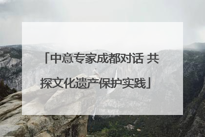中意专家成都对话 共探文化遗产保护实践