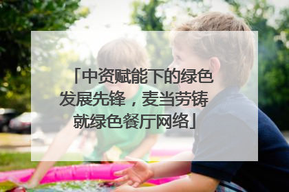 中资赋能下的绿色发展先锋，麦当劳铸就绿色餐厅网络