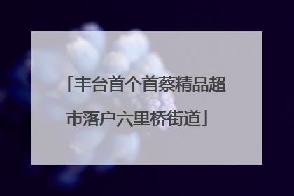 丰台首个首蔡精品超市落户六里桥街道