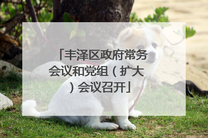 丰泽区政府常务会议和党组（扩大）会议召开