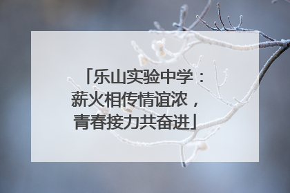 乐山实验中学：薪火相传情谊浓，青春接力共奋进