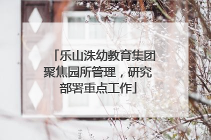 乐山洙幼教育集团聚焦园所管理，研究部署重点工作