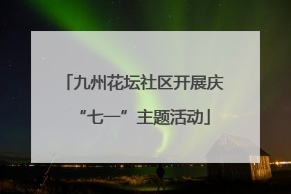 九州花坛社区开展庆“七一”主题活动