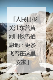 人民日报关注东营黄河口候鸟栖息地：更多飞鸟在这里安家