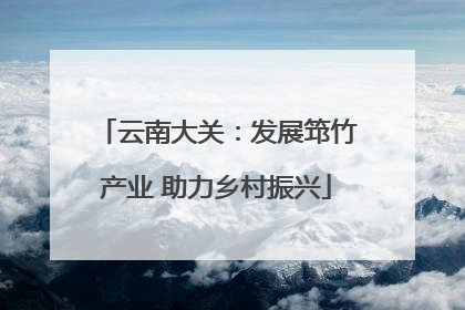 云南大关：发展筇竹产业 助力乡村振兴