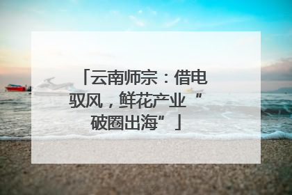 云南师宗：借电驭风，鲜花产业“破圈出海”