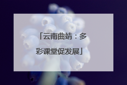 云南曲靖：多彩课堂促发展