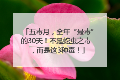五毒月，全年“最毒”的30天！不是蛇虫之毒，而是这3种毒！