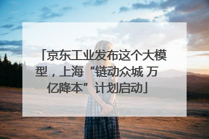 京东工业发布这个大模型，上海“链动众城 万亿降本”计划启动