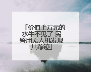 价值上万元的水牛不见了 民警用无人机发现其踪迹