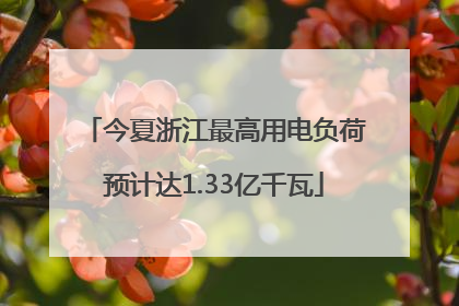 今夏浙江最高用电负荷预计达1.33亿千瓦