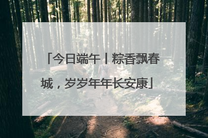今日端午丨粽香飘春城，岁岁年年长安康