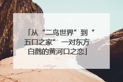 从“二鸟世界”到“五口之家” 一对东方白鹳的黄河口之恋