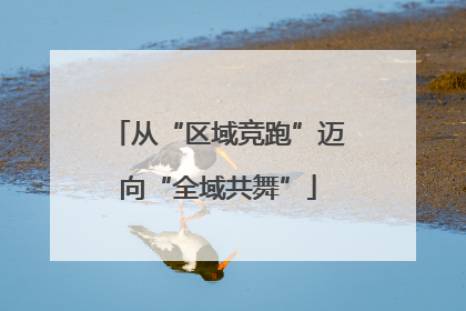 从“区域竞跑”迈向“全域共舞”