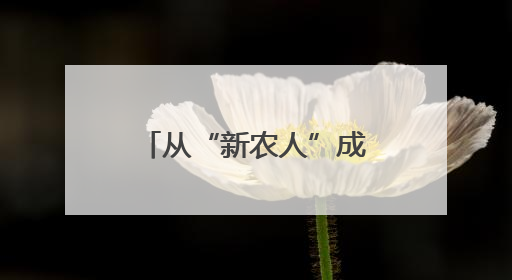 从“新农人”成“兴农人”，“90后”返乡走出致富“振兴路”