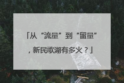 从“流量”到“留量”，新民歌湖有多火？