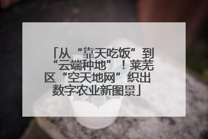 从“靠天吃饭”到“云端种地”！莱芜区“空天地网”织出数字农业新图景