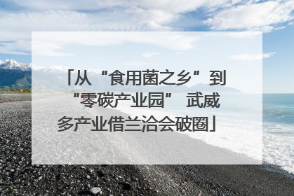从“食用菌之乡”到“零碳产业园” 武威多产业借兰洽会破圈