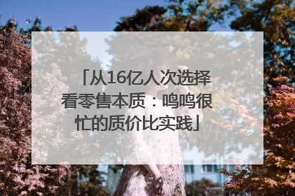 从16亿人次选择看零售本质：鸣鸣很忙的质价比实践