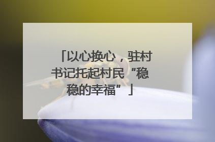 以心换心，驻村书记托起村民“稳稳的幸福”