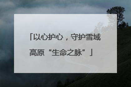 以心护心，守护雪域高原“生命之脉”