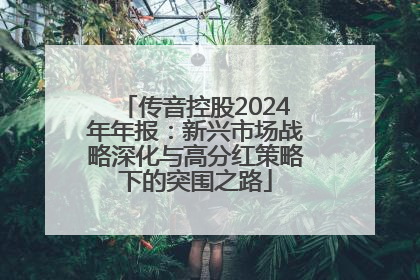 传音控股2024年年报：新兴市场战略深化与高分红策略下的突围之路