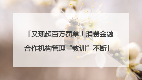 又现超百万罚单！消费金融合作机构管理“教训”不断