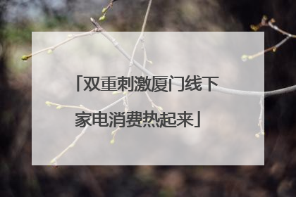 双重刺激厦门线下家电消费热起来