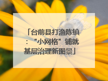 台前县打渔陈镇：“小网格”铺就基层治理新图景