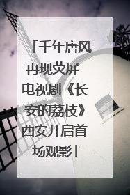 千年唐风再现荧屏 电视剧《长安的荔枝》西安开启首场观影