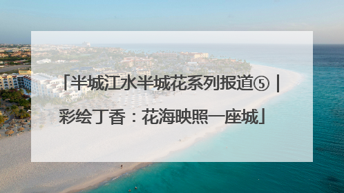 半城江水半城花系列报道⑤｜彩绘丁香：花海映照一座城
