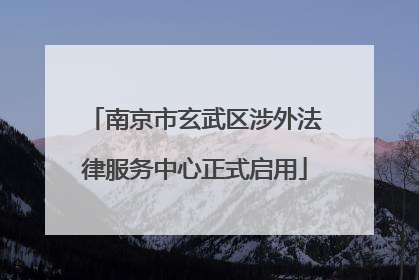南京市玄武区涉外法律服务中心正式启用