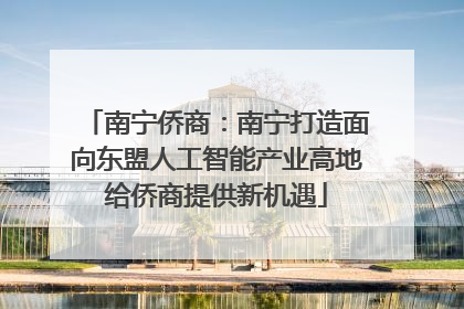 南宁侨商：南宁打造面向东盟人工智能产业高地给侨商提供新机遇