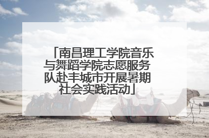 南昌理工学院音乐与舞蹈学院志愿服务队赴丰城市开展暑期社会实践活动
