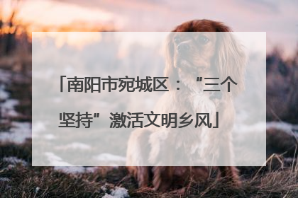 南阳市宛城区：“三个坚持”激活文明乡风