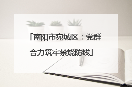 南阳市宛城区：党群合力筑牢禁烧防线