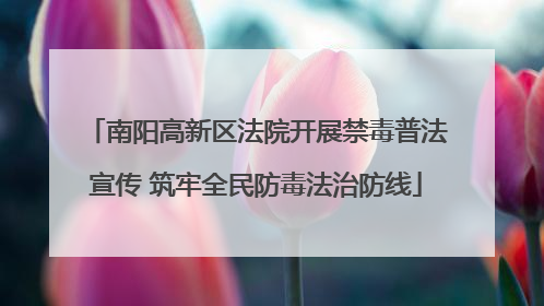 南阳高新区法院开展禁毒普法宣传 筑牢全民防毒法治防线
