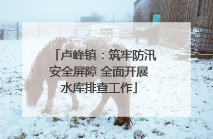 卢峰镇：筑牢防汛安全屏障 全面开展水库排查工作