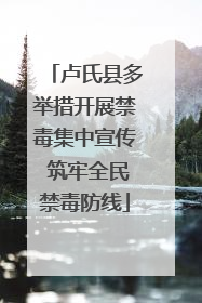 卢氏县多举措开展禁毒集中宣传 筑牢全民禁毒防线